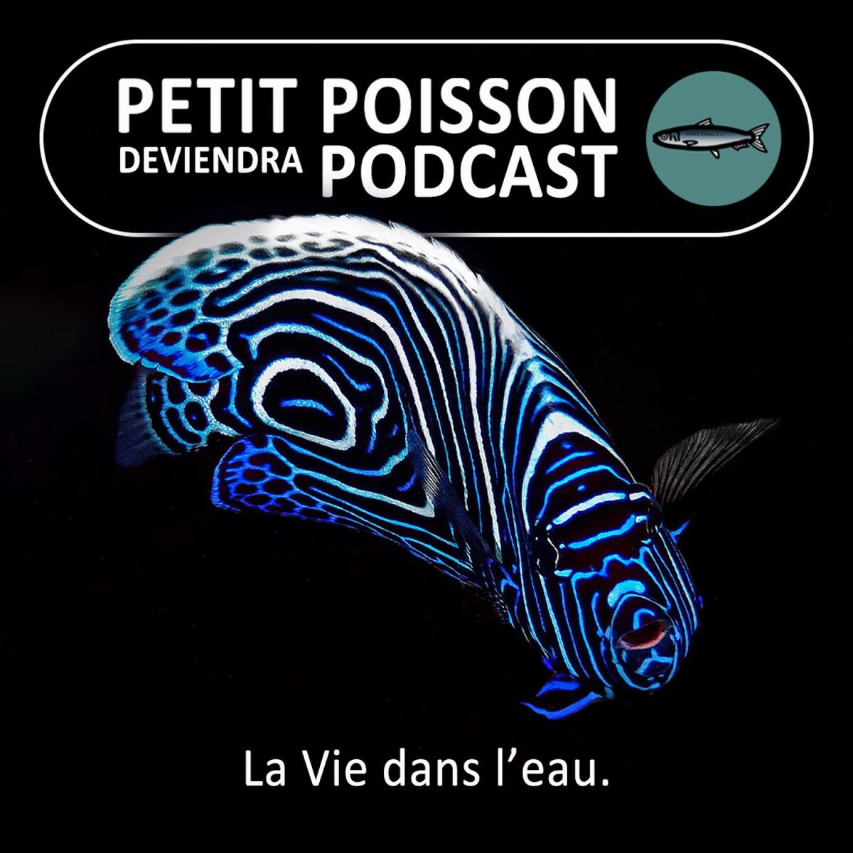 Show cover of Petit Poisson deviendra Podcast