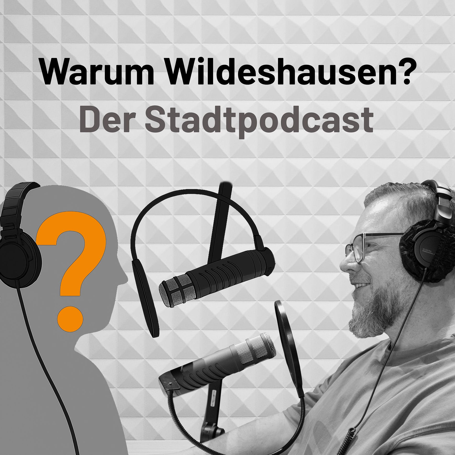 Show cover of Warum Wildeshausen?