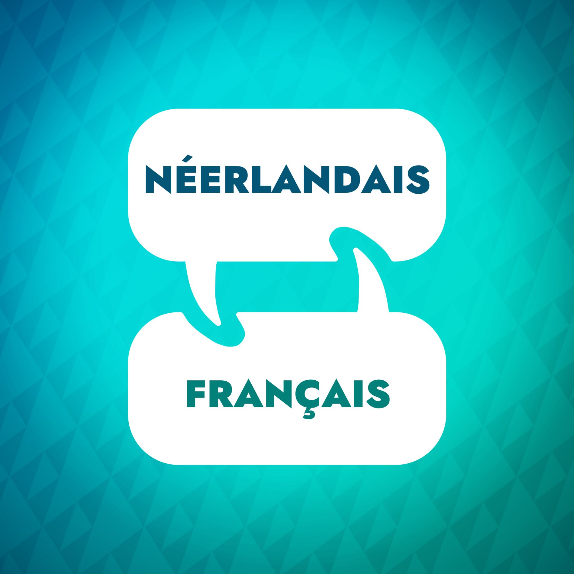 Show cover of Accélérateur d'apprentissage du néerlandais