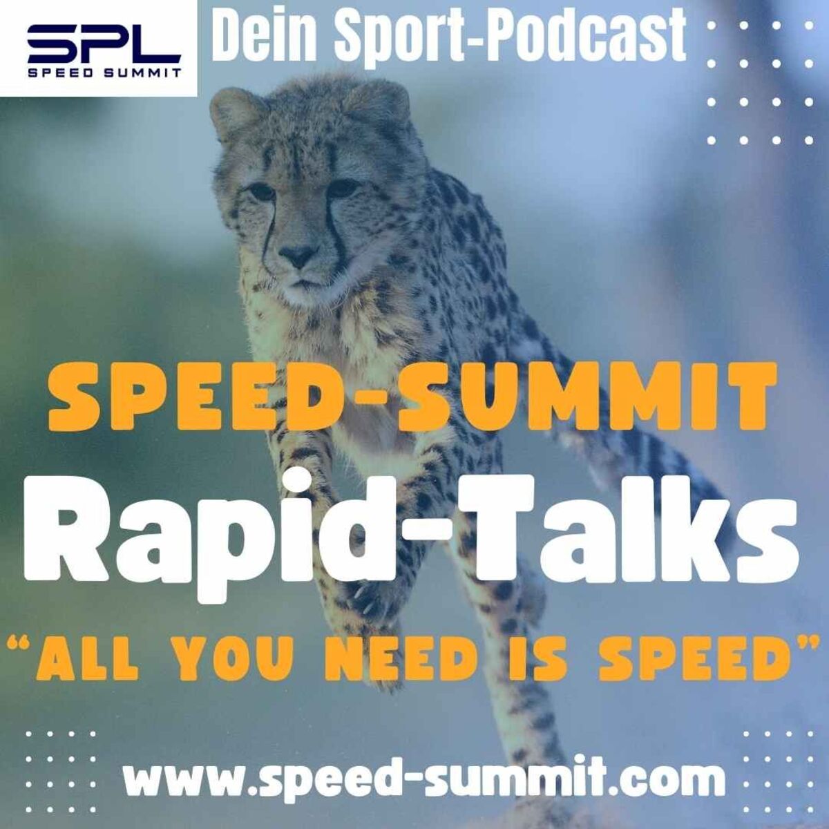 Show cover of Rapid-Talks 