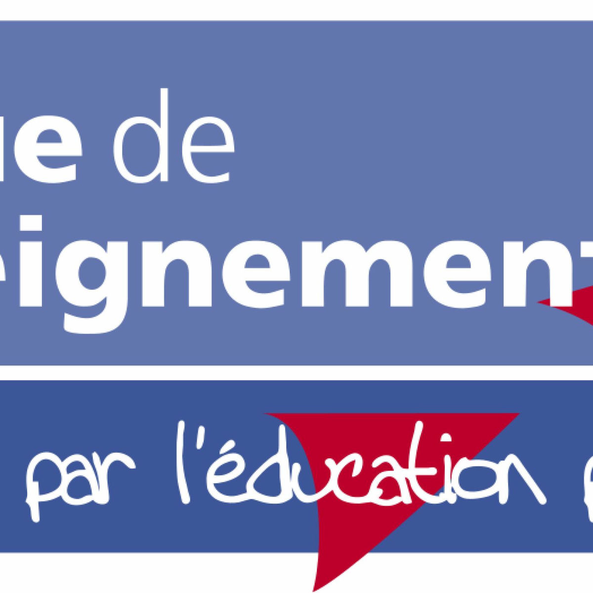 Show cover of Les chroniques pédagogiques