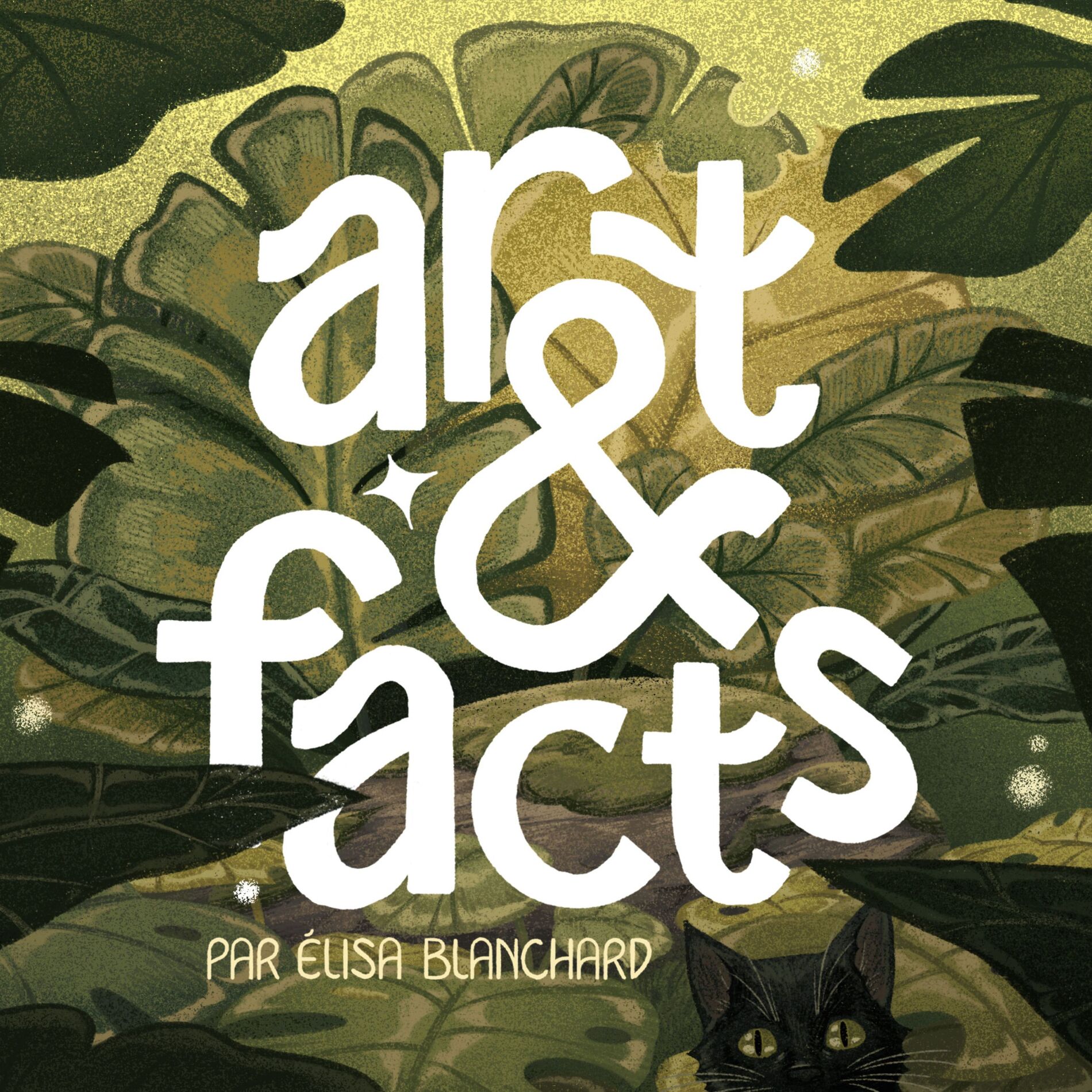 Show cover of Art&facts