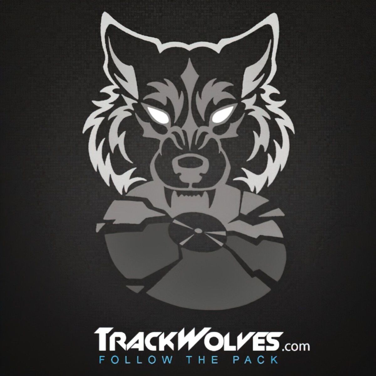 Show cover of TrackWolves Mixes