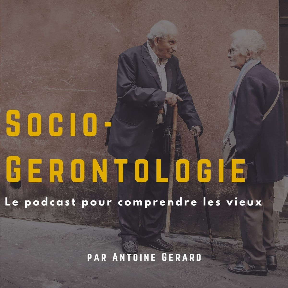 Show cover of SocioGérontologie