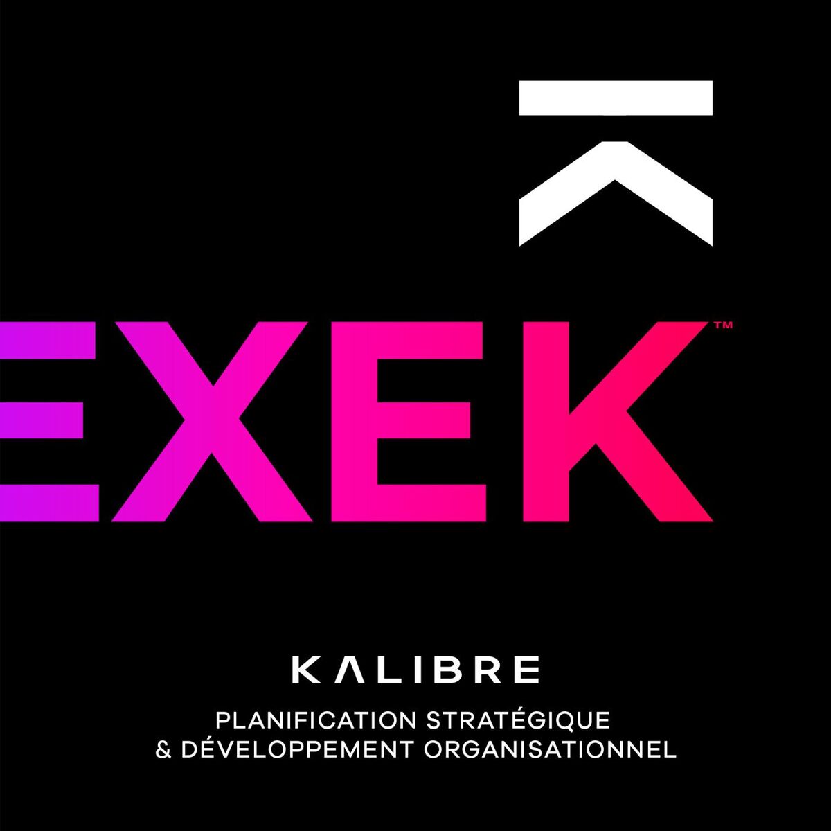 Show cover of EXEK™ - Planification stratégique & développement organisationnel