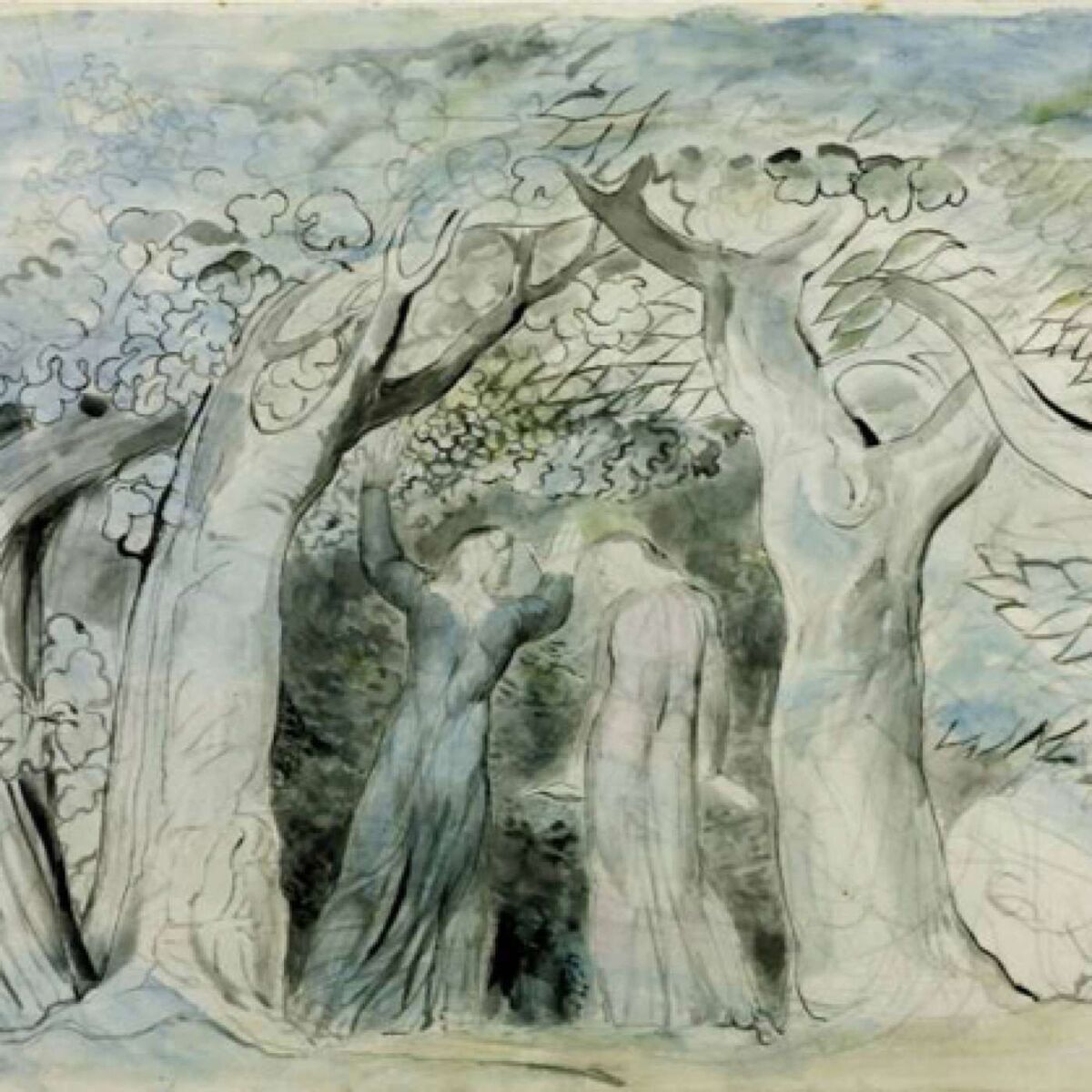 Show cover of Dante's Divine Comedy