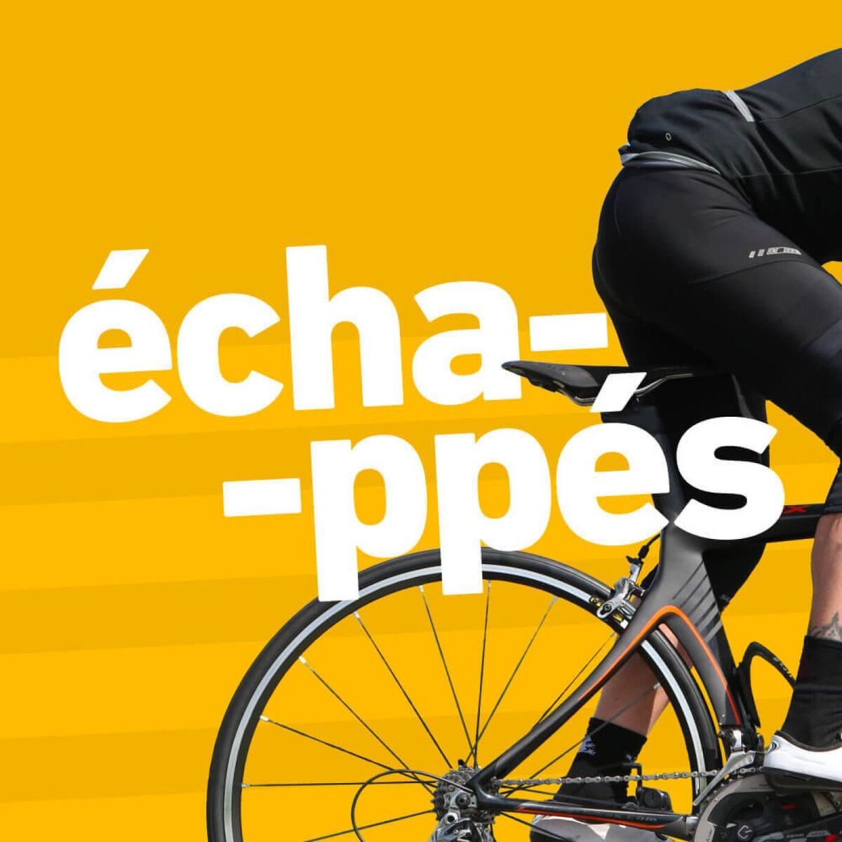 Show cover of Échappés