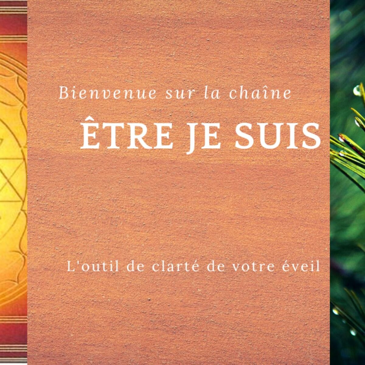 Show cover of L'éveil des Neuro-atypiques et Hauts Potentiels en général
