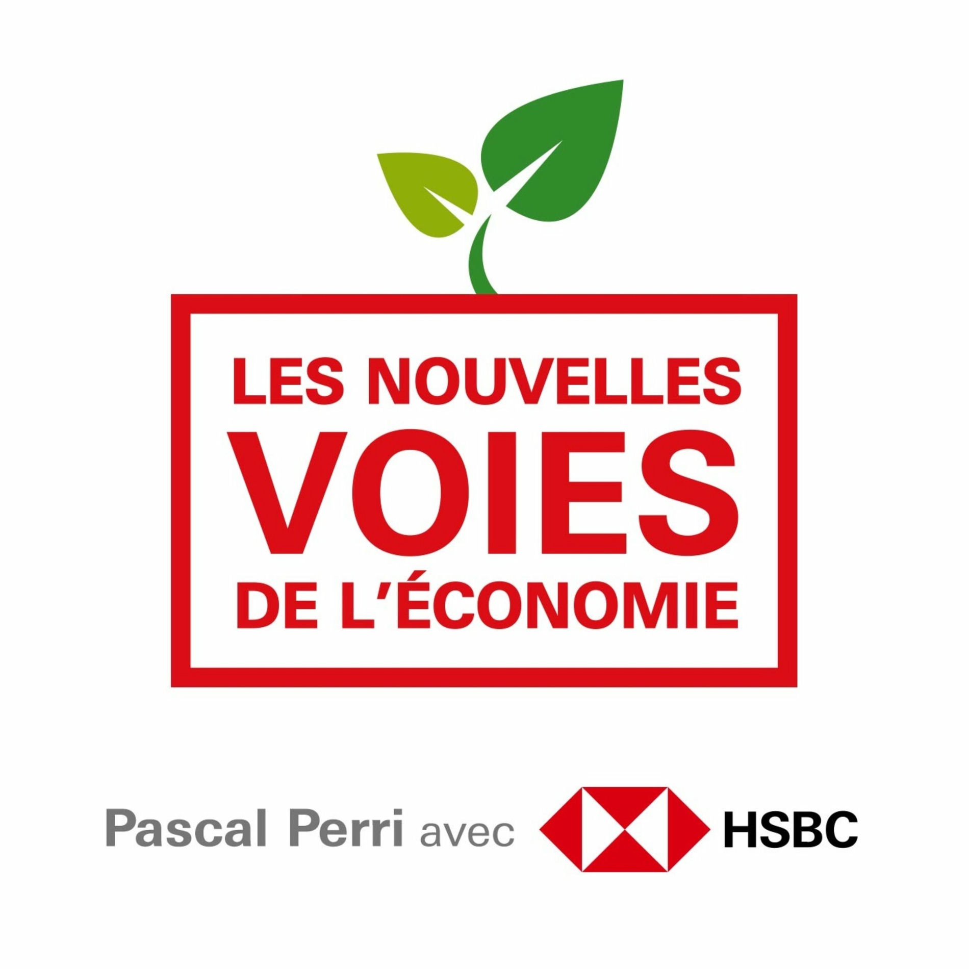 Show cover of Les nouvelles voies de l'économie