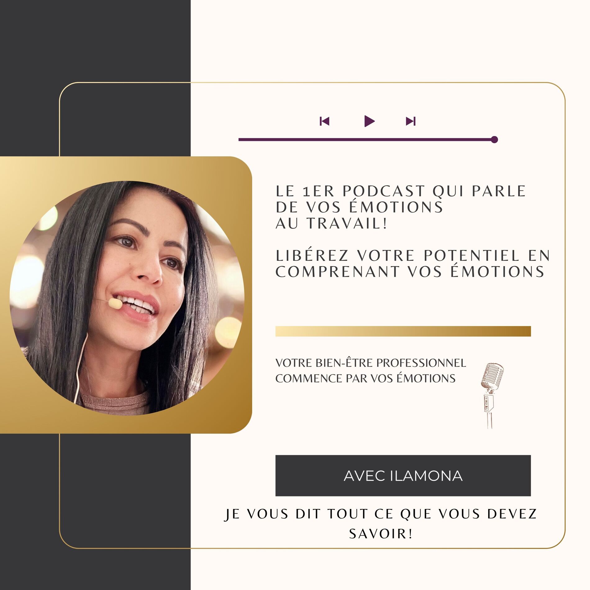 Show cover of Émotions au Travail