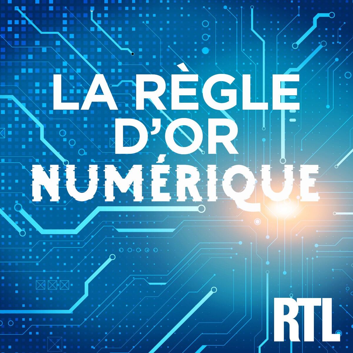 Show cover of La Règle d'Or Numérique