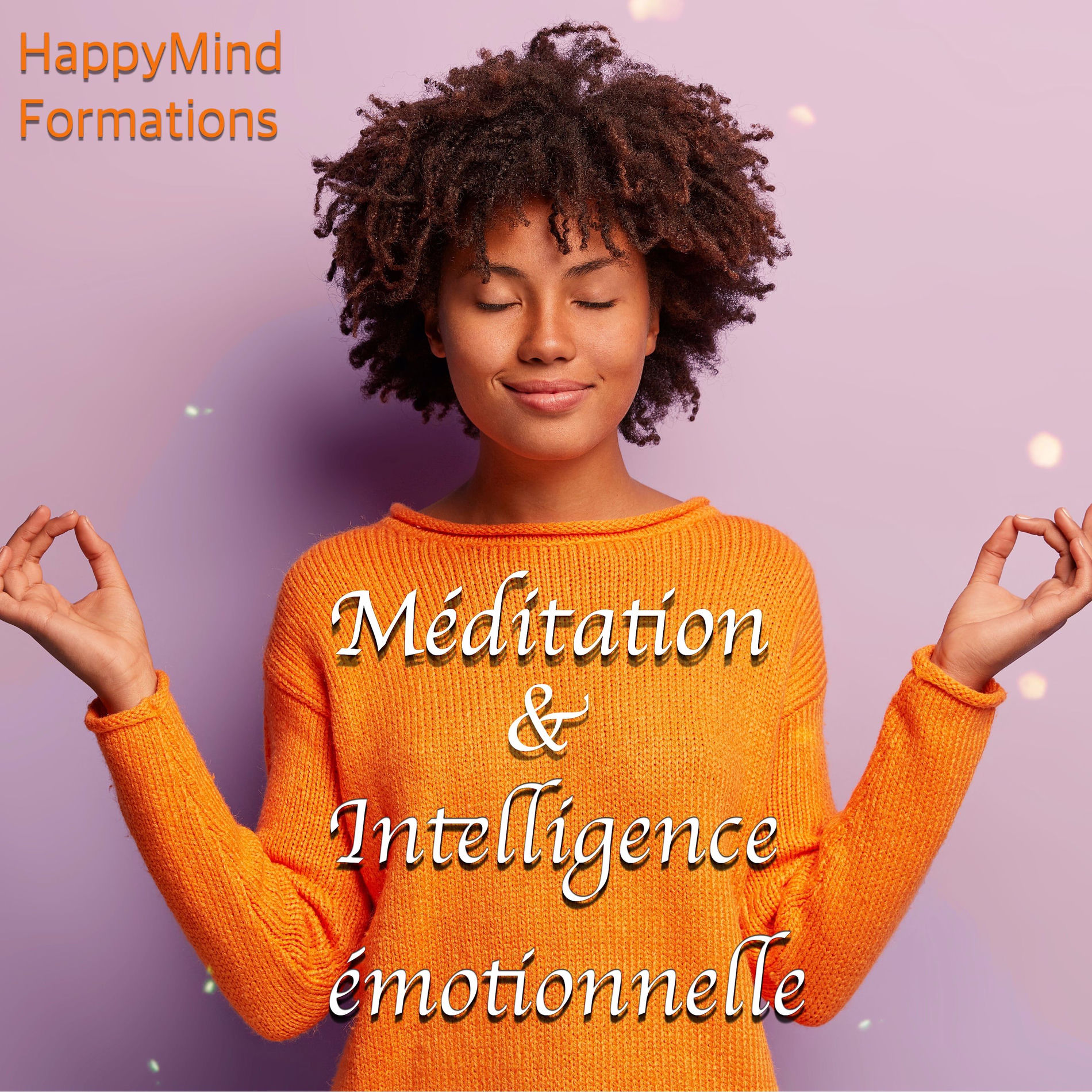 Show cover of Gestion du stress par la pleine conscience et l'intelligence émotionnelle