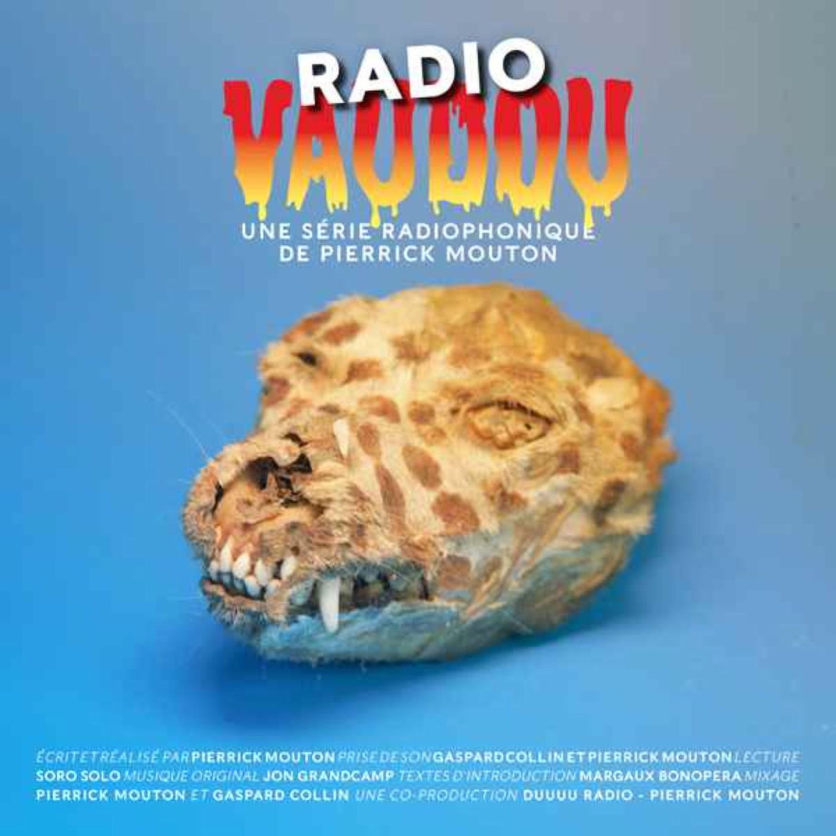 Show cover of Radio Vaudou