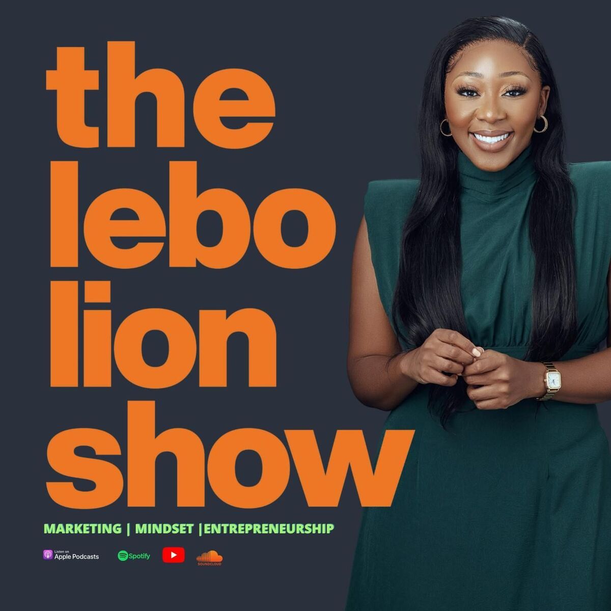 Show cover of The Lebo Lion Show
