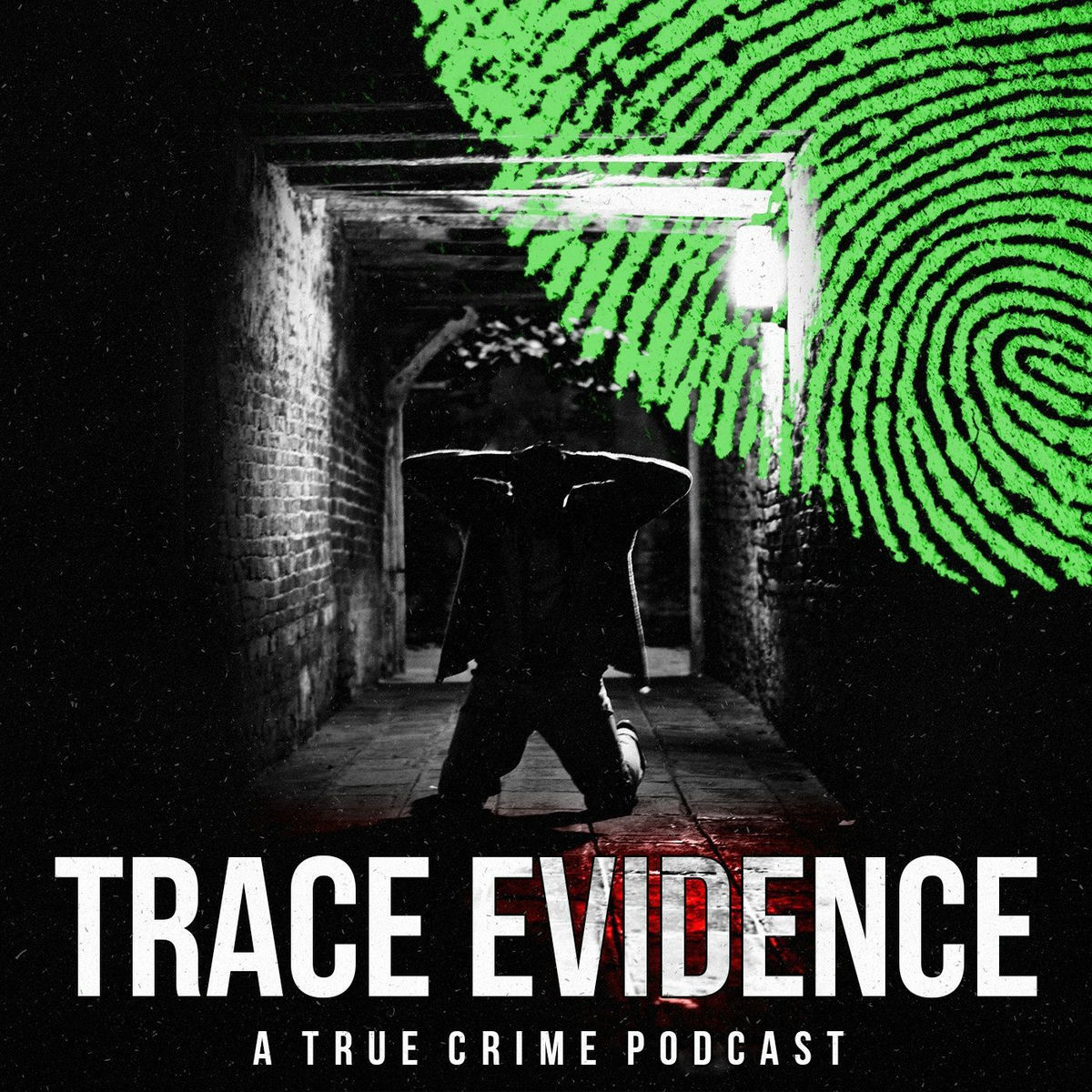 Show cover of Trace Evidence