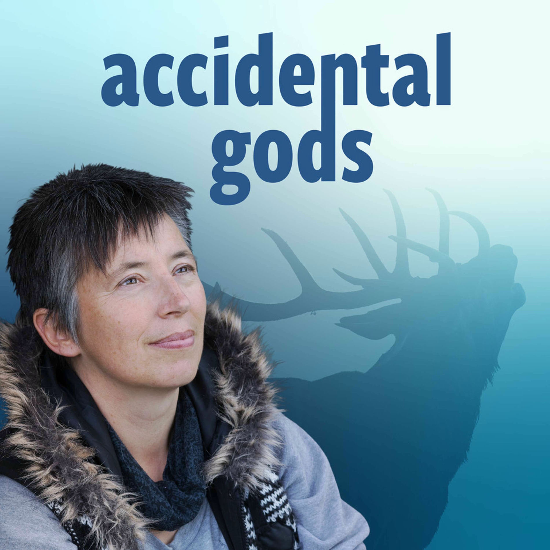 Show cover of Accidental Gods