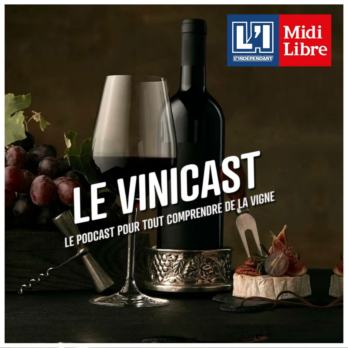 Show cover of LE VINICAST