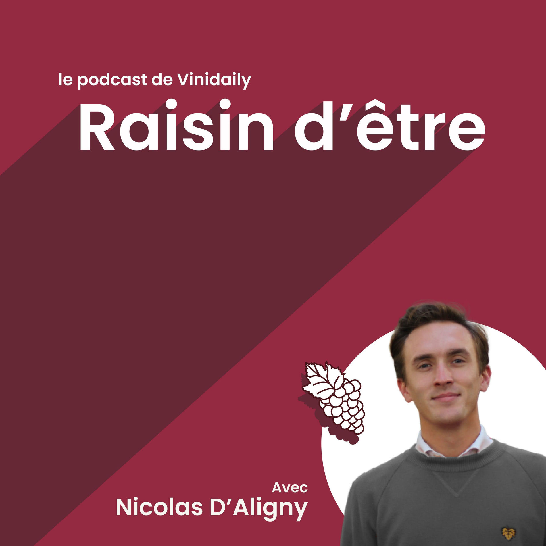 Show cover of Raisin d'être, le podcast vin de Vinidaily