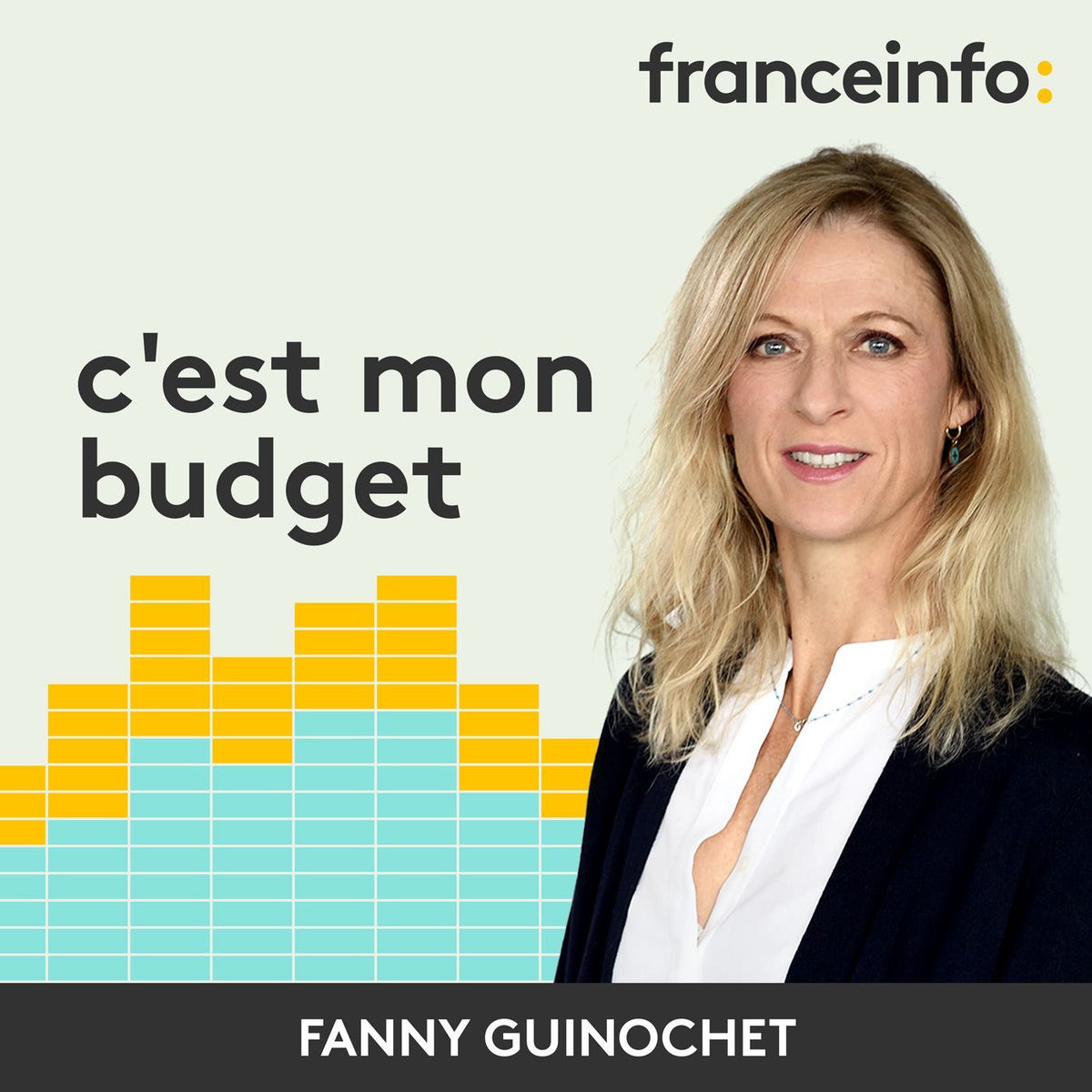 Show cover of c'est mon budget