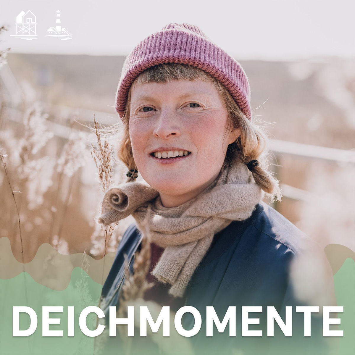 Show cover of Deichmomente