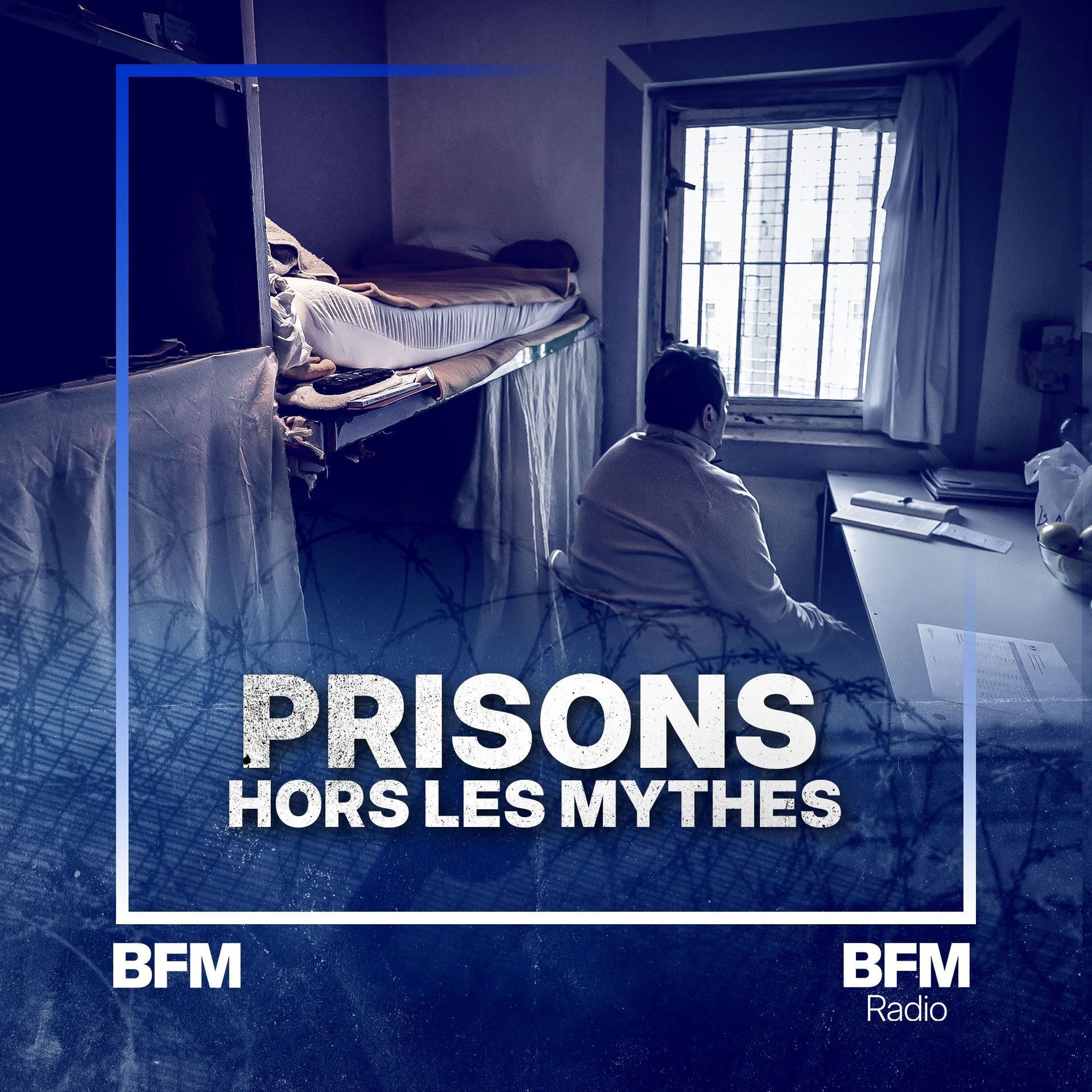Show cover of Prisons: hors les mythes