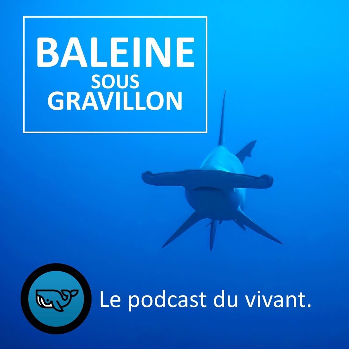 Show cover of Baleine sous Gravillon (BSG)