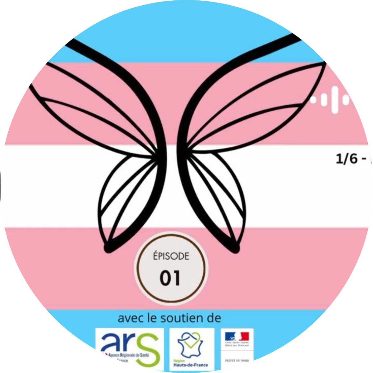 Show cover of Transidentités