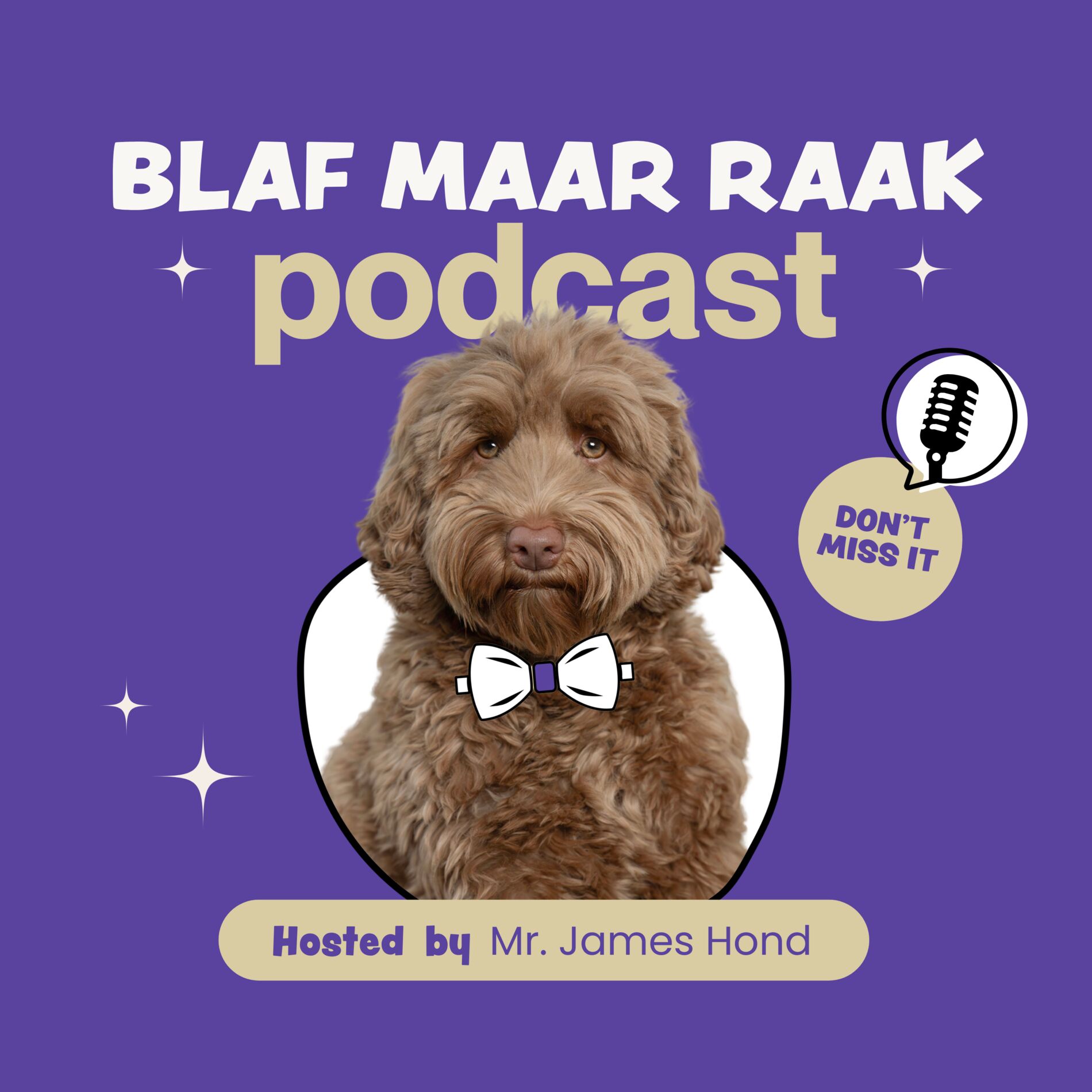 Show cover of Blaf Maar Raak