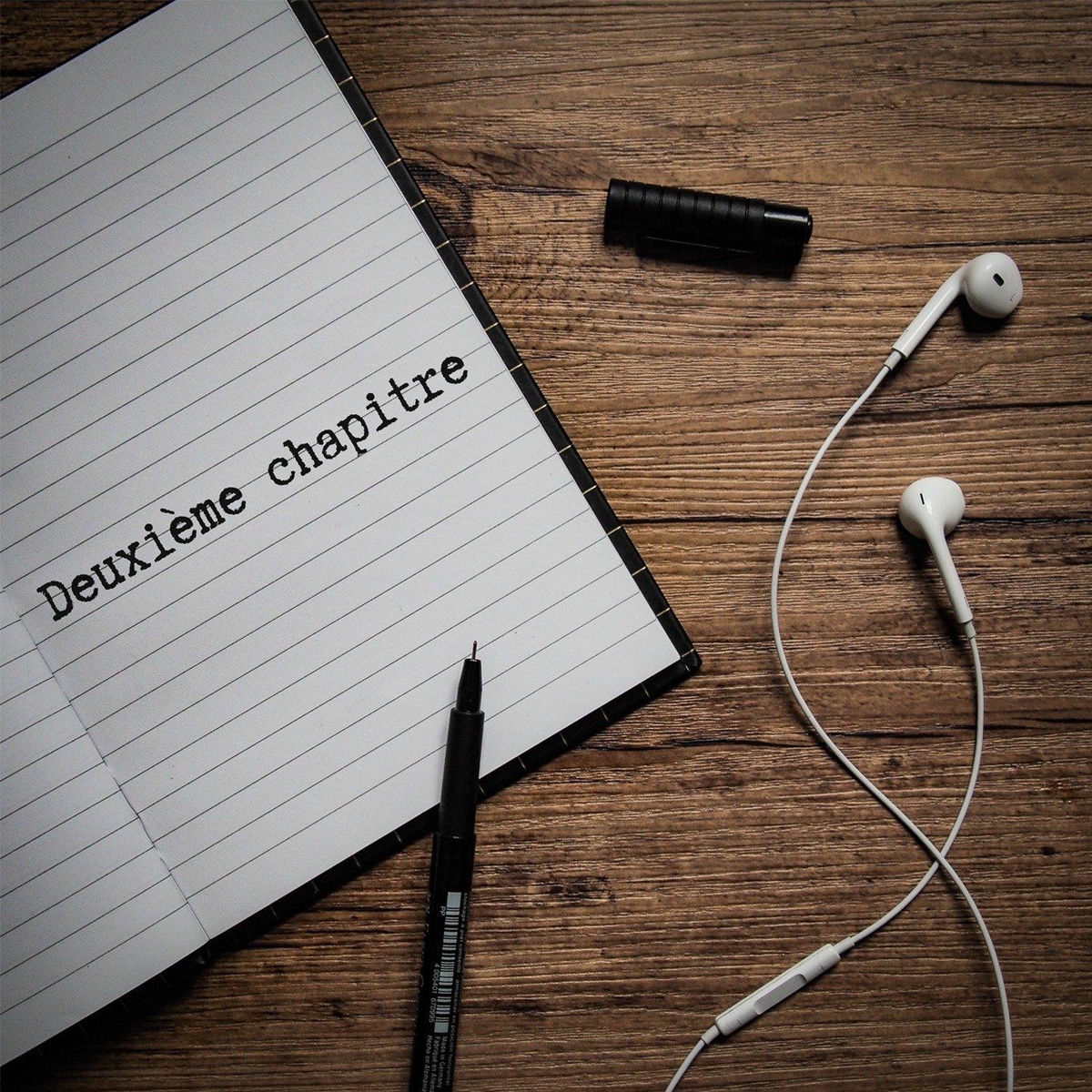 Show cover of Deuxième Chapitre