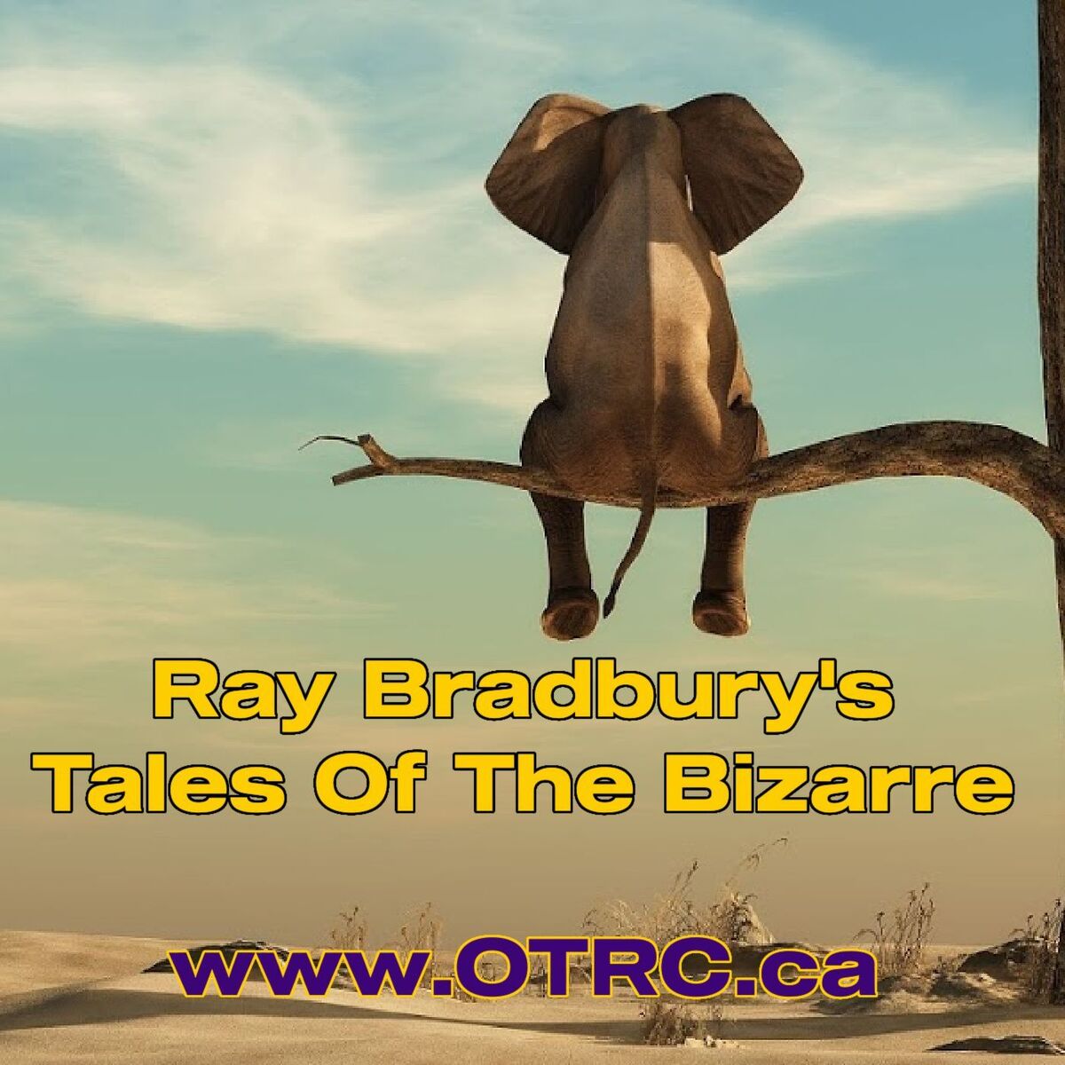 Show cover of Ray Bradbury - Tales Of The Bizarre