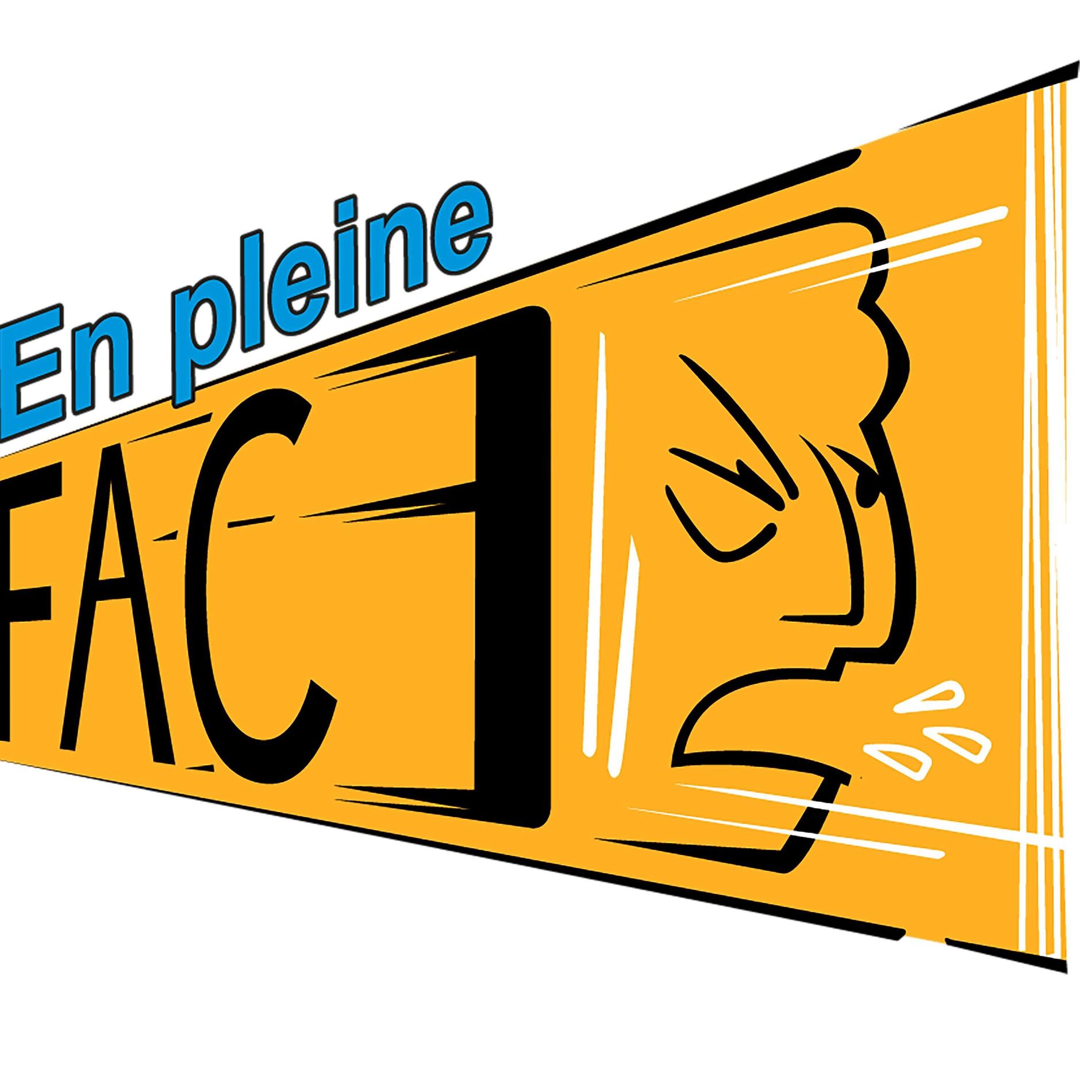 Show cover of En Pleine Face Podcast