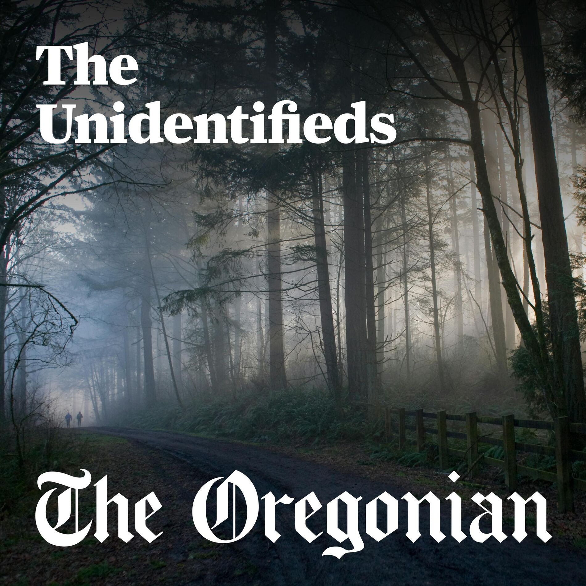 Show cover of The Unidentifieds