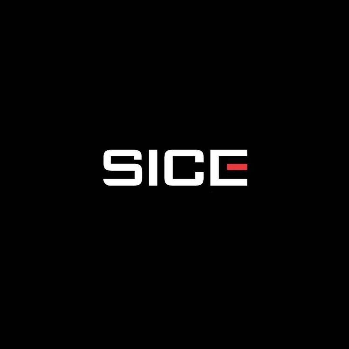Show cover of Sice : Tout sur les Manga , Anime et Jeux vidéo japonais