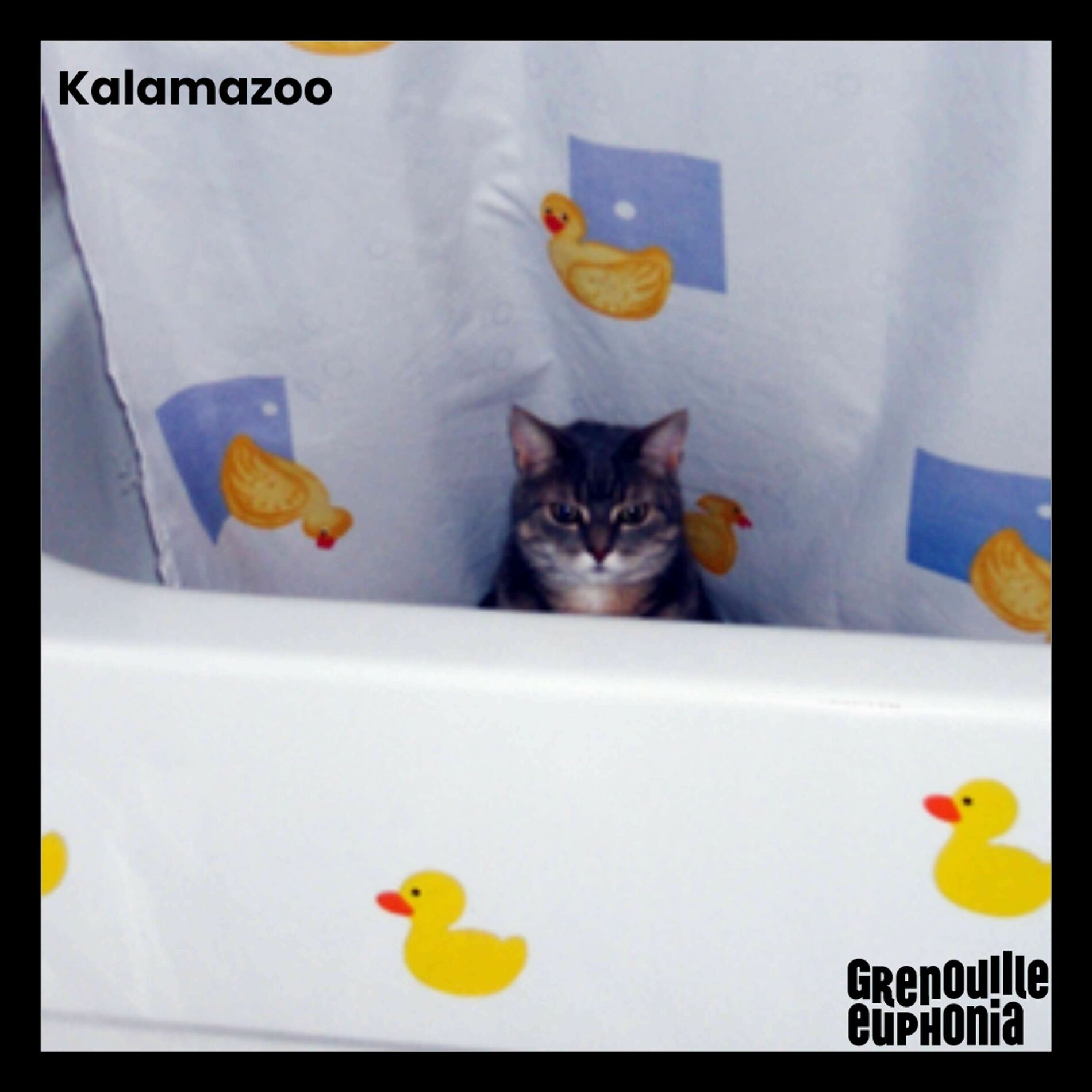 Show cover of Kalamazoo - Dr Zoom