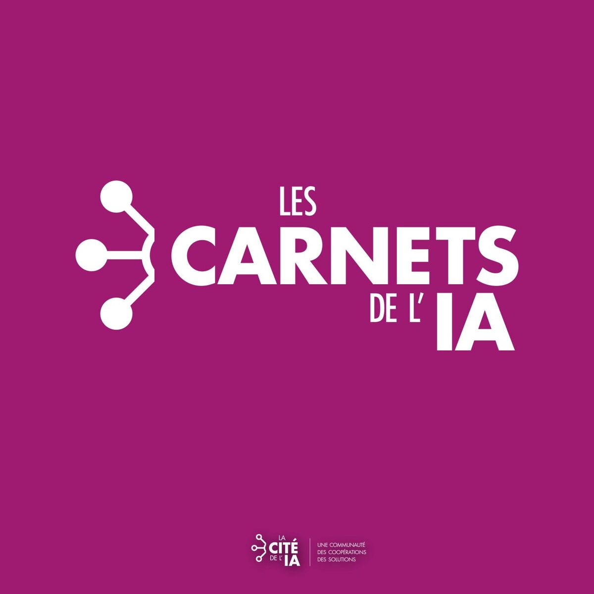 Show cover of Les Carnets de l'IA
