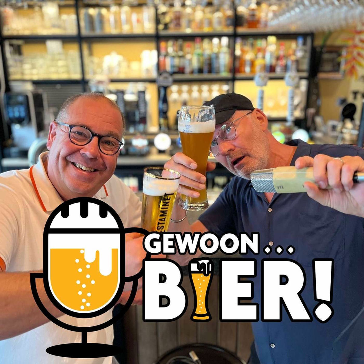 Show cover of Gewoon Bier