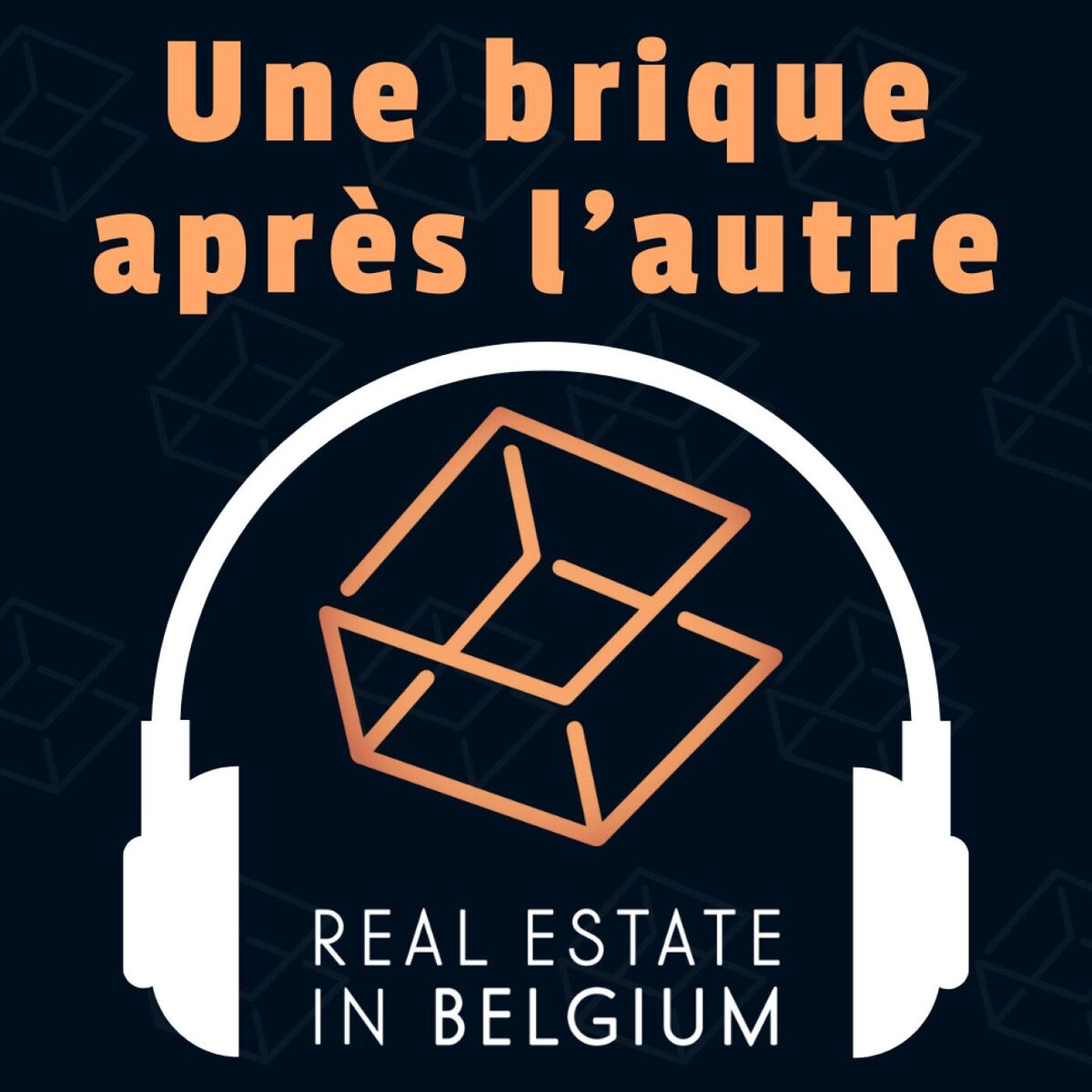 Show cover of Une brique après l'autre : Investir dans l'immobilier en Belgique