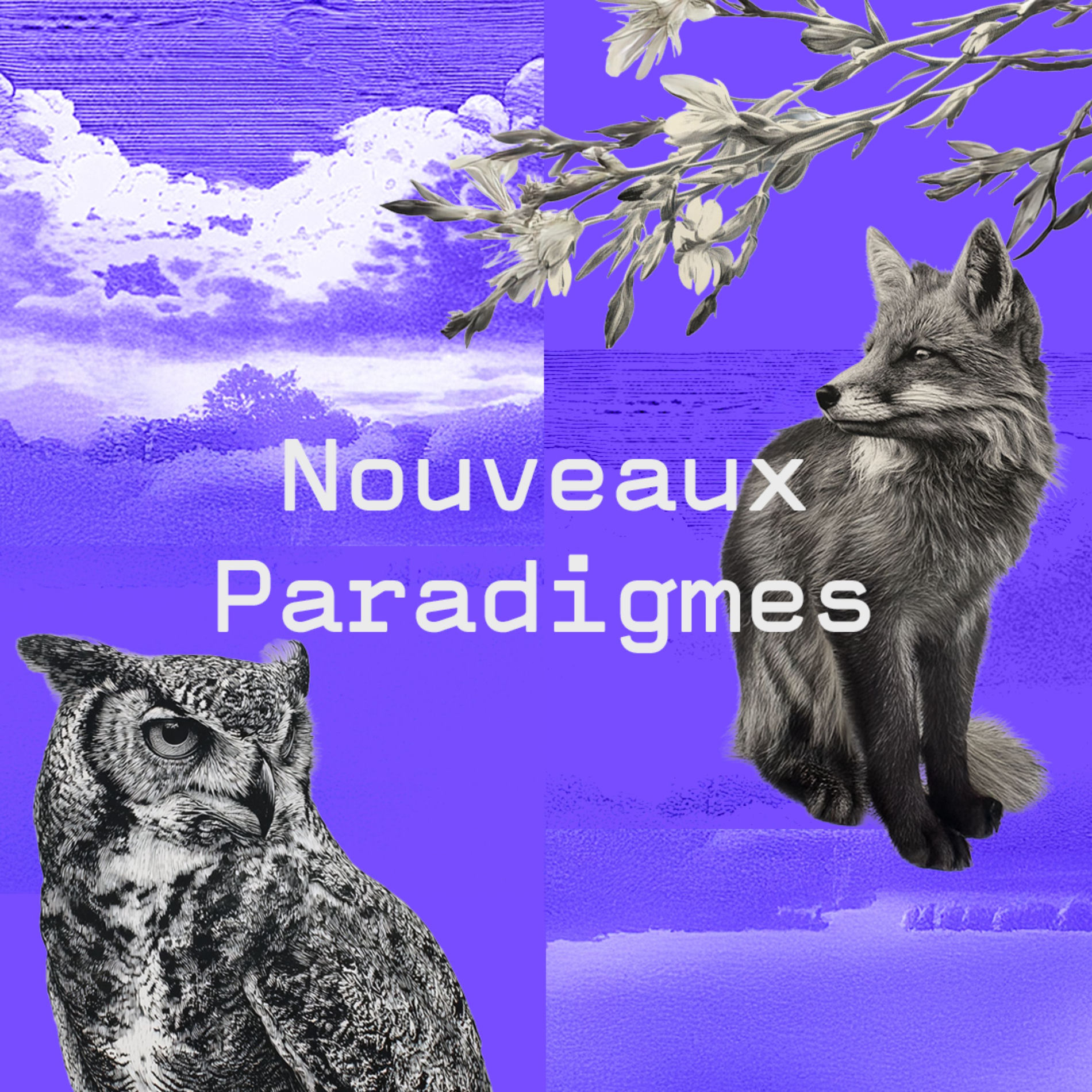 Show cover of Nouveaux Paradigmes