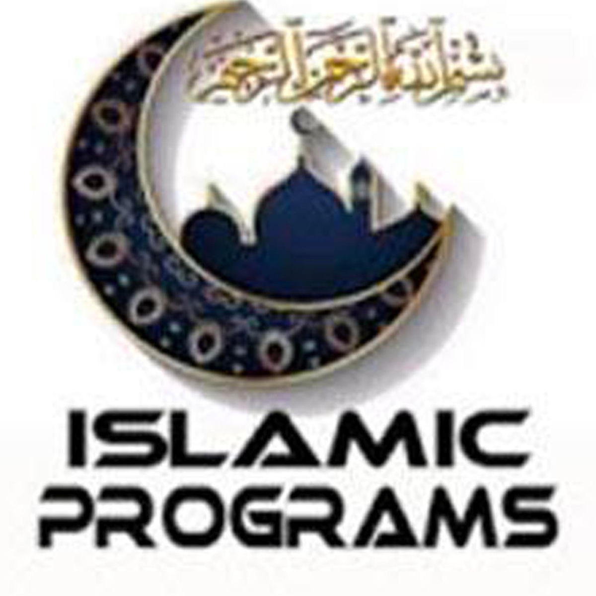 Show cover of Islamic Preaching