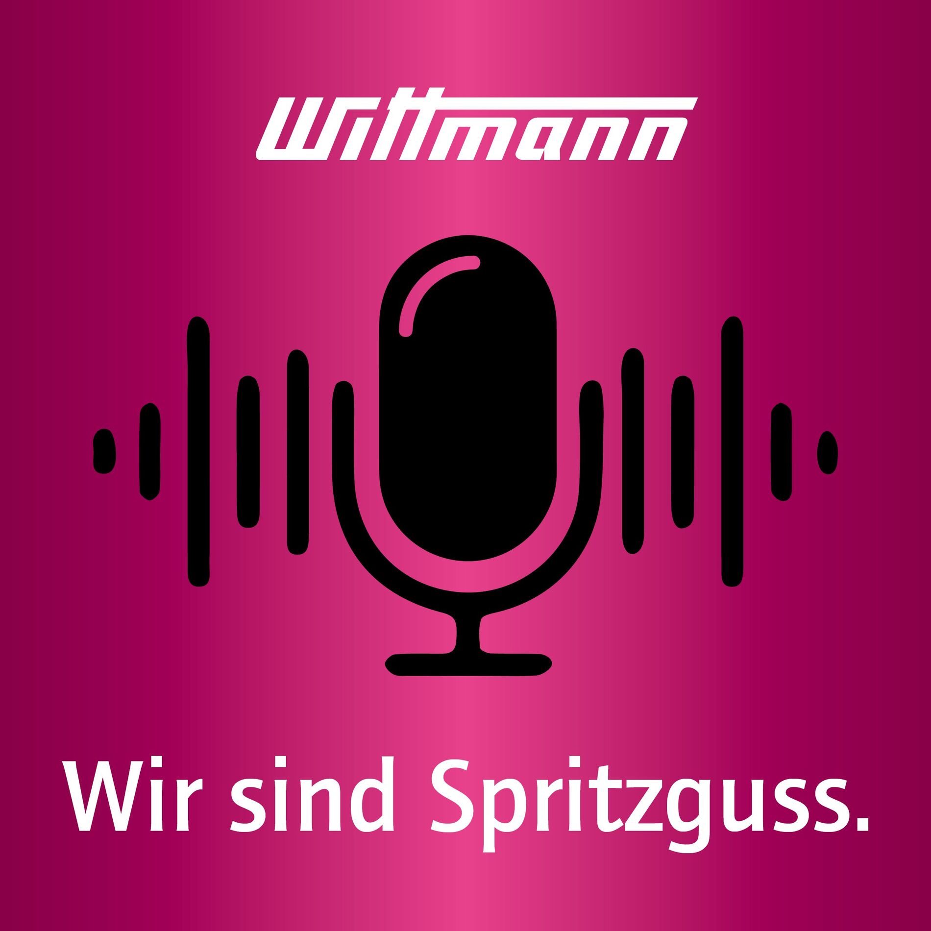 Show cover of Wir sind Spritzguss.