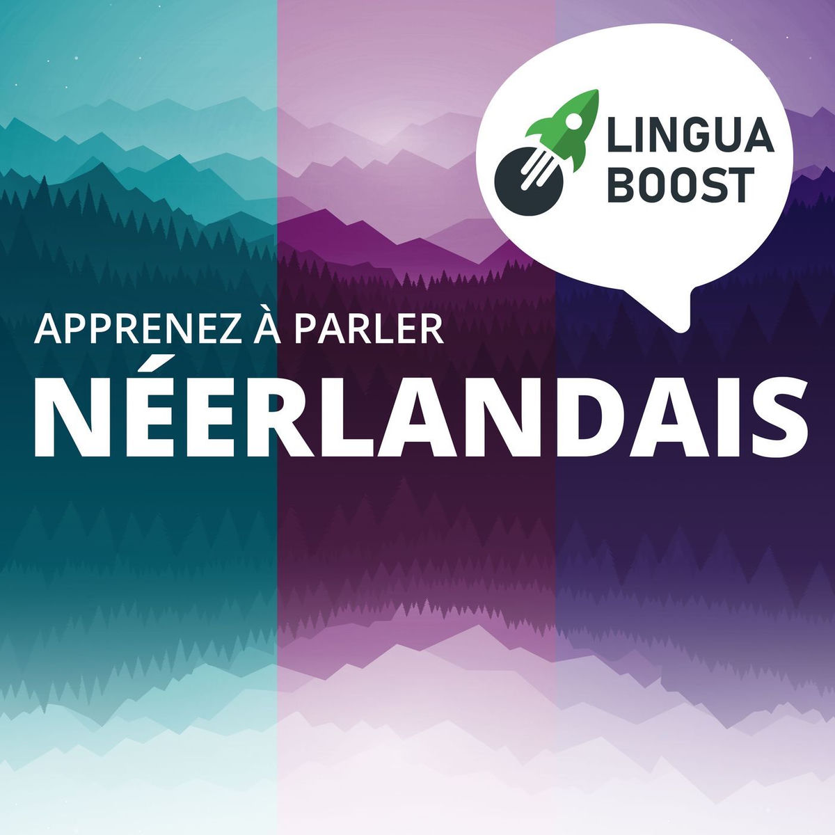 Show cover of Apprendre le néerlandais avec LinguaBoost
