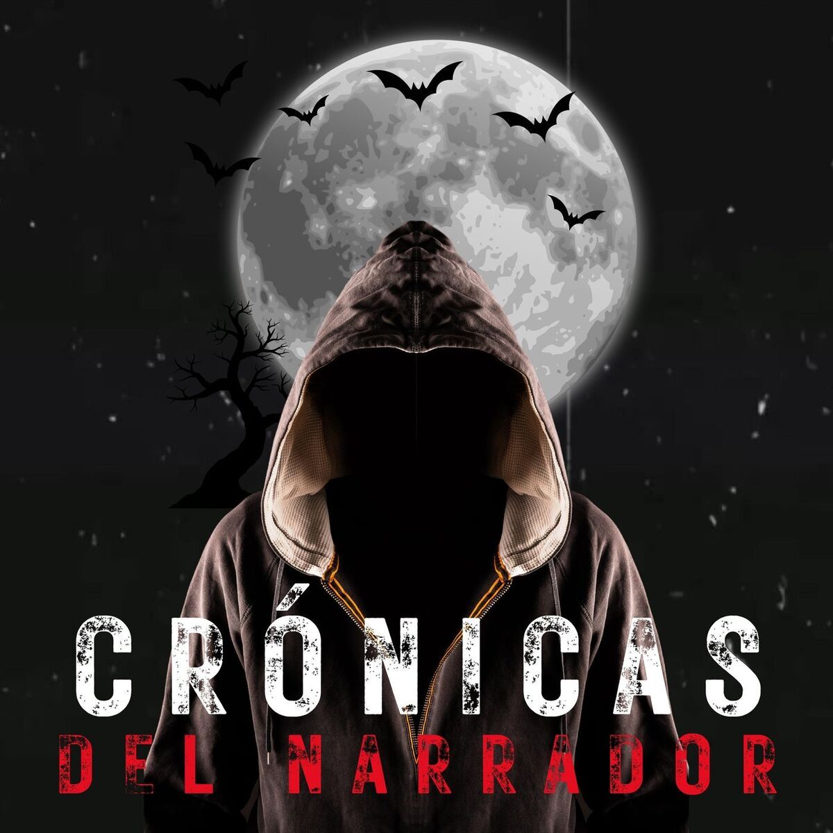 Show cover of Cronicas del Narrador