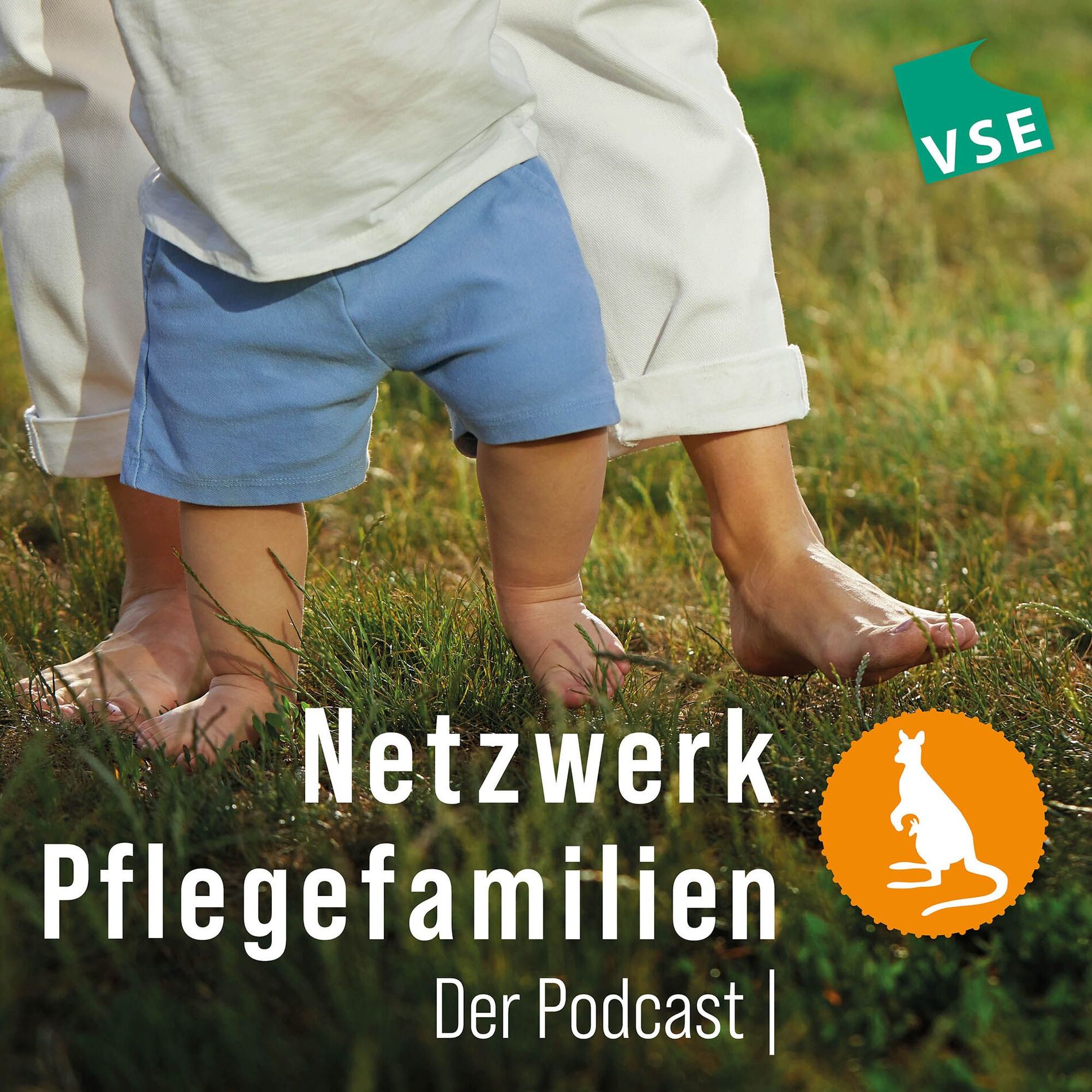 Show cover of Netzwerk Pflegefamilien - Der Podcast