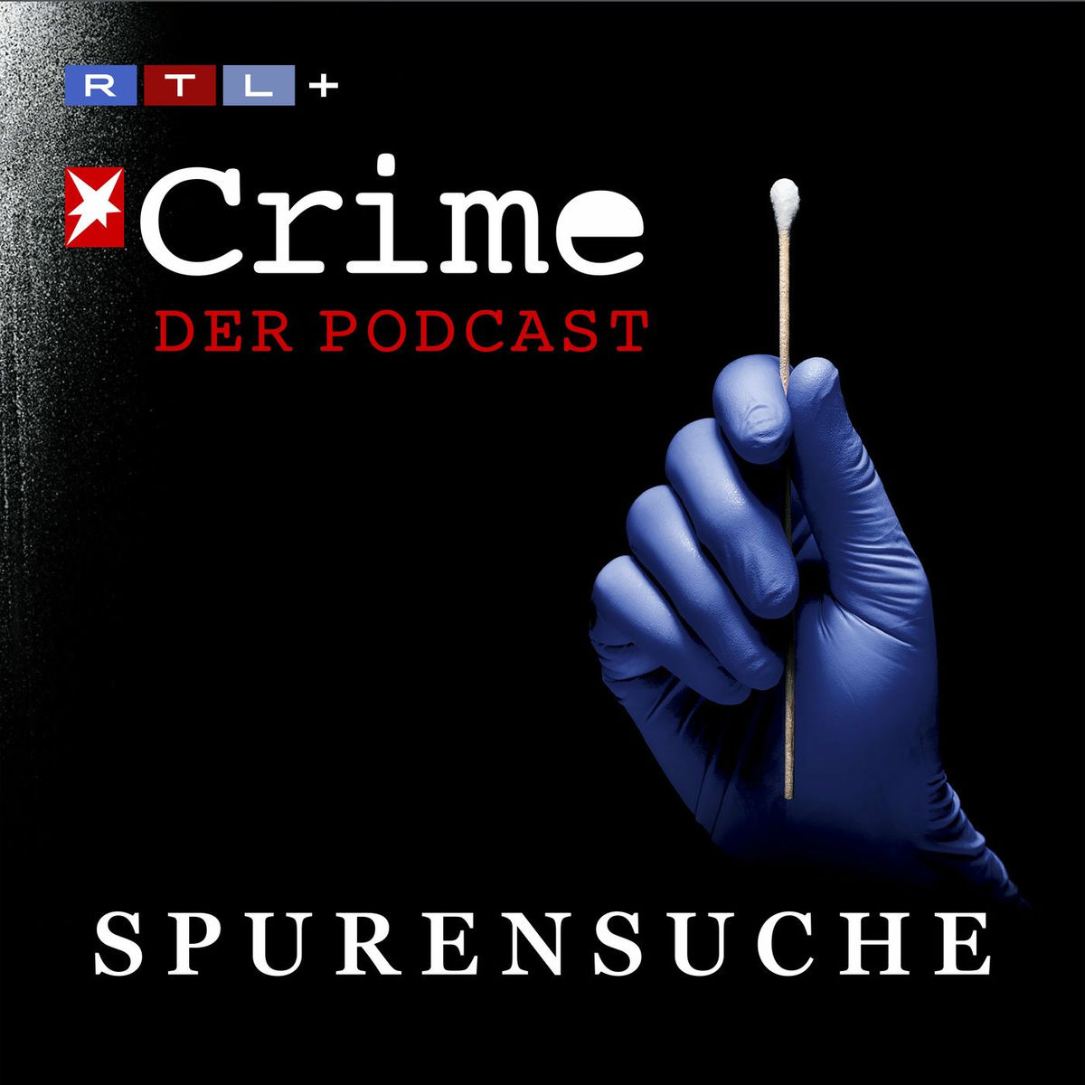 Show cover of stern Crime - Spurensuche