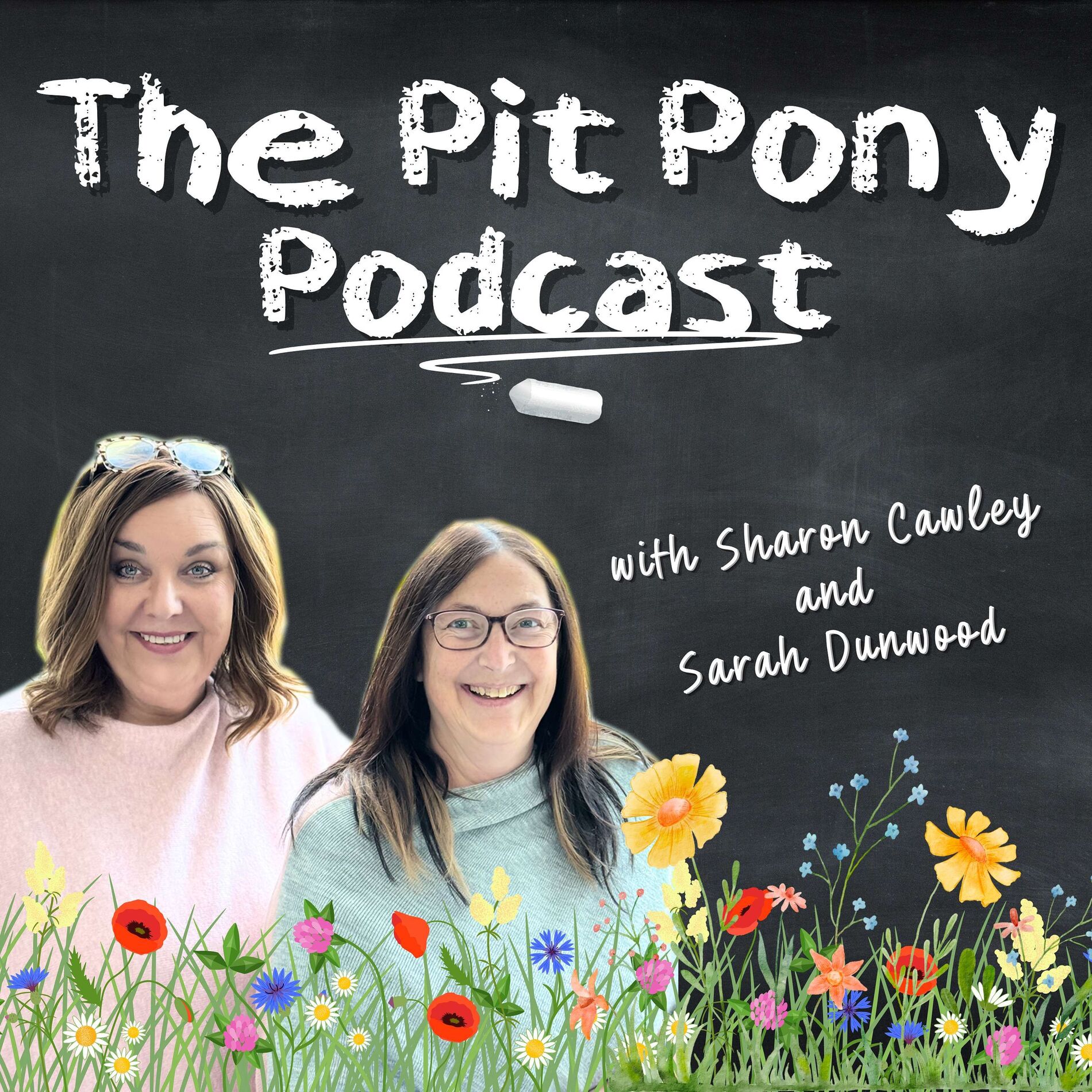 Show cover of The Pit Pony Podcast - Life After Teaching