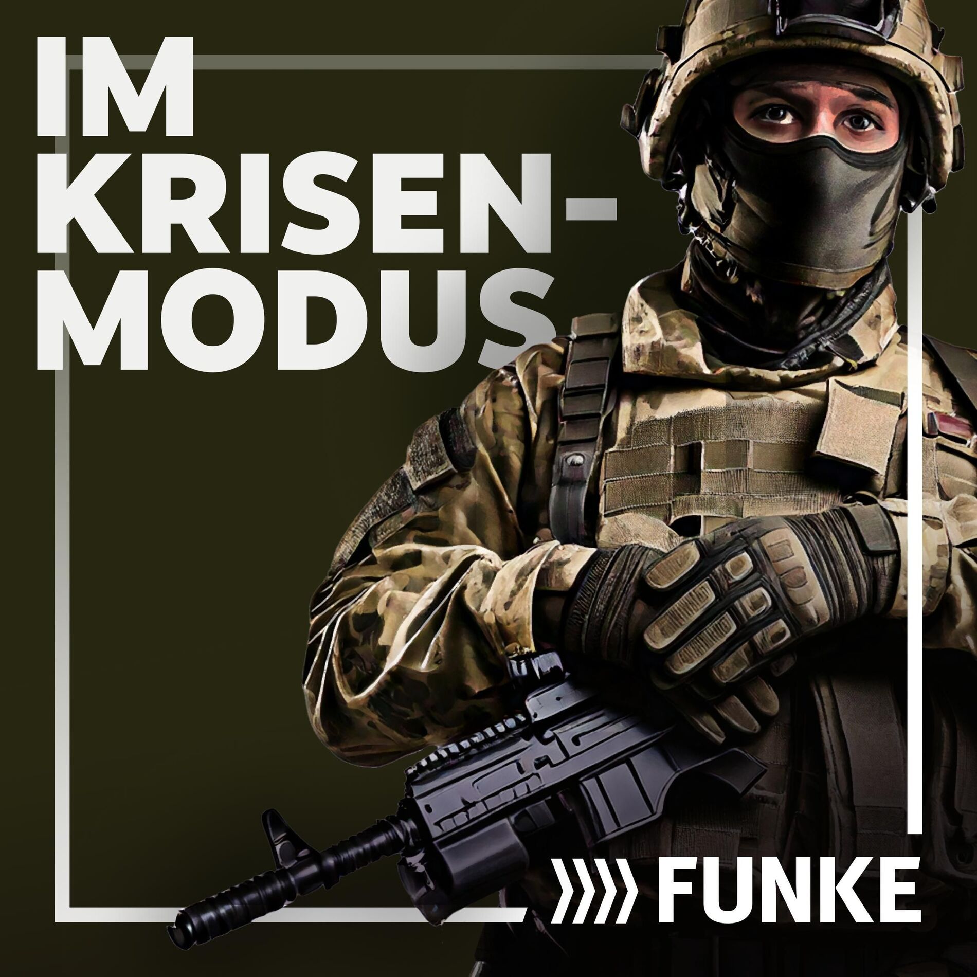 Show cover of Im Krisenmodus