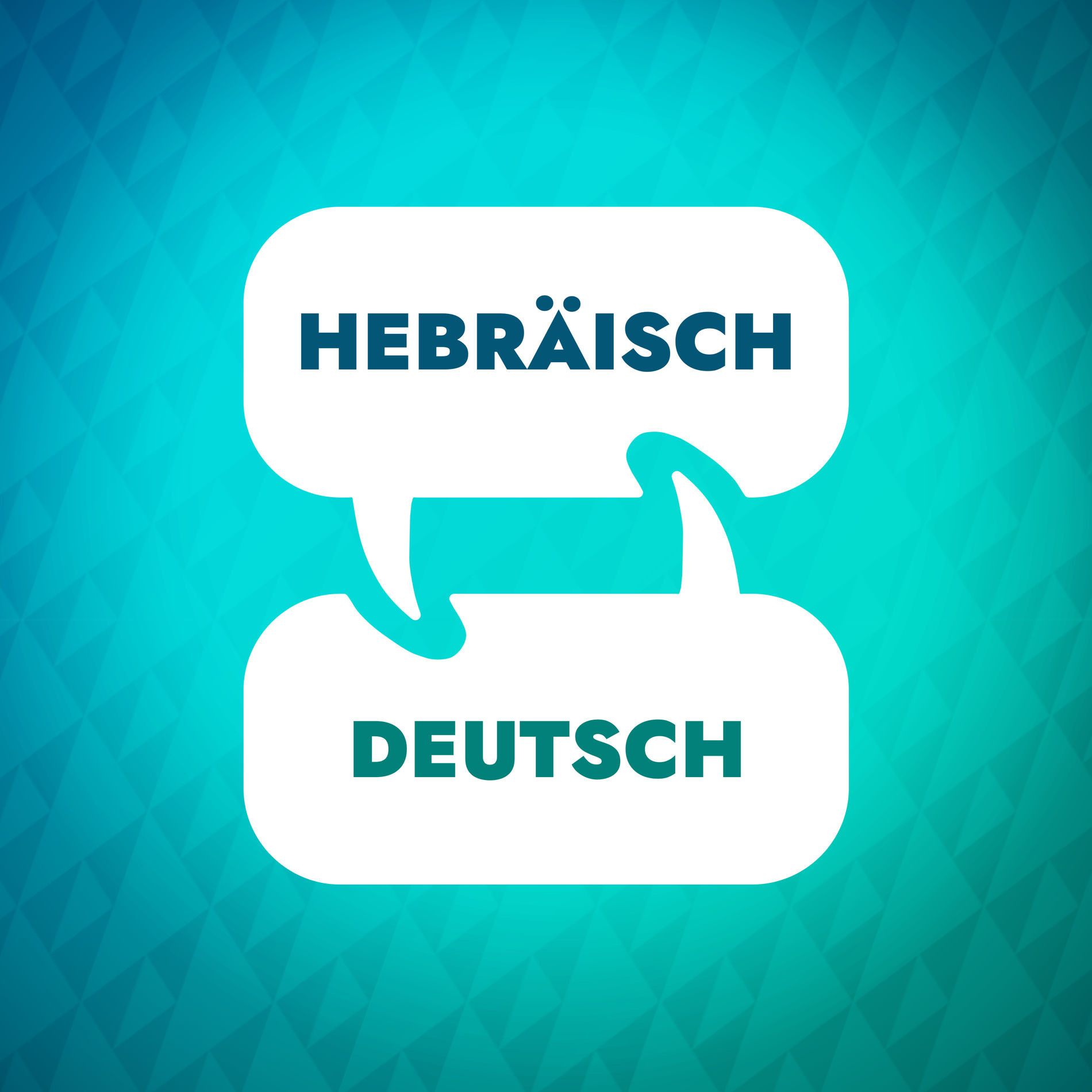 Show cover of Hebräisch-Lernbeschleuniger