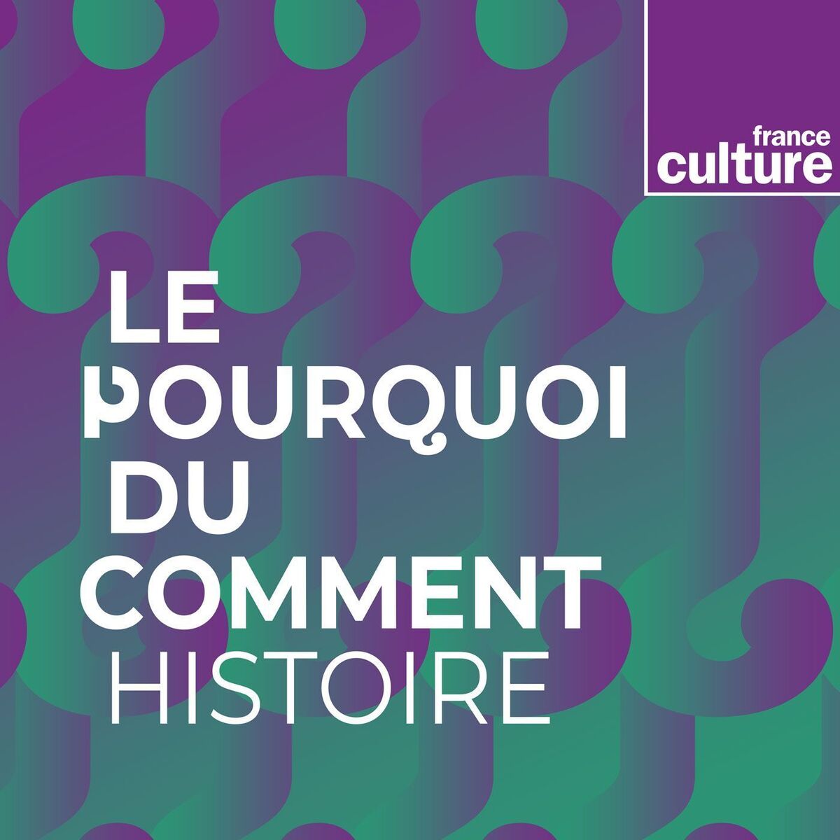 Show cover of Le Pourquoi du comment : histoire