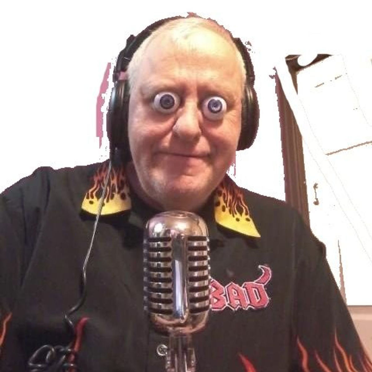 Show cover of Fuzzy & the Boomer All Star's Show
