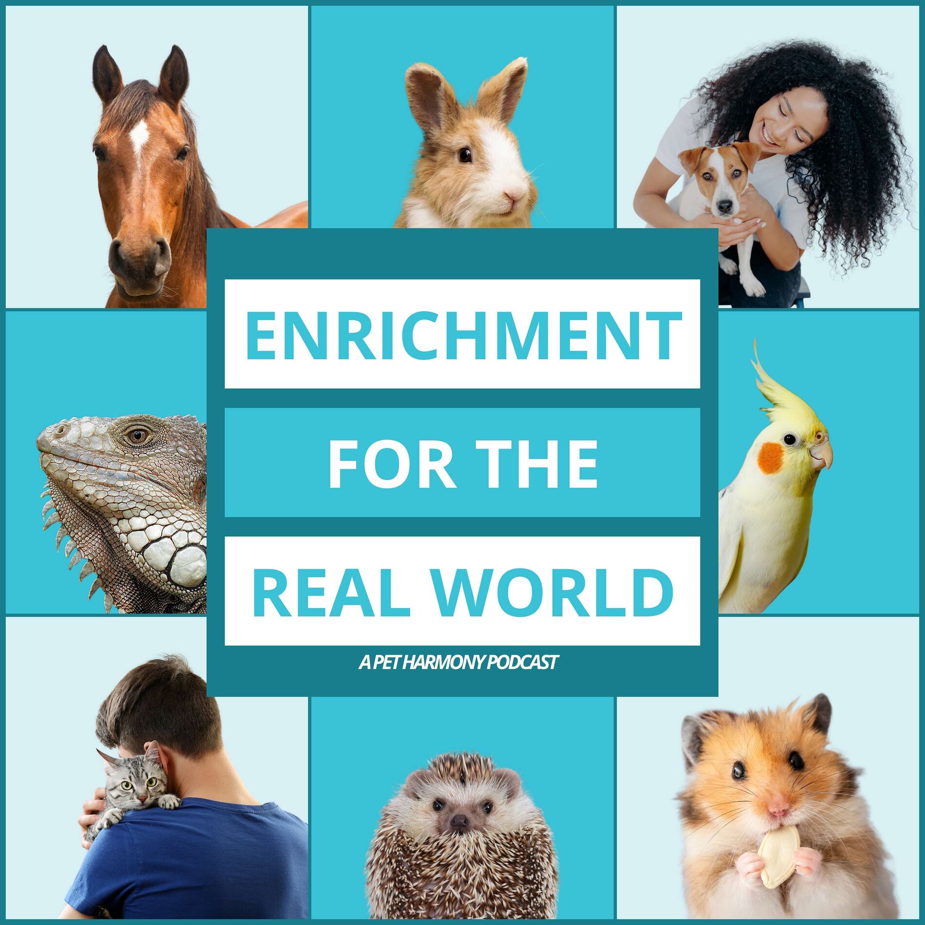 Show cover of Enrichment for the Real World